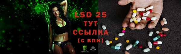 индика Лихославль