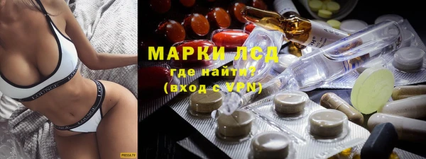 индика Лихославль