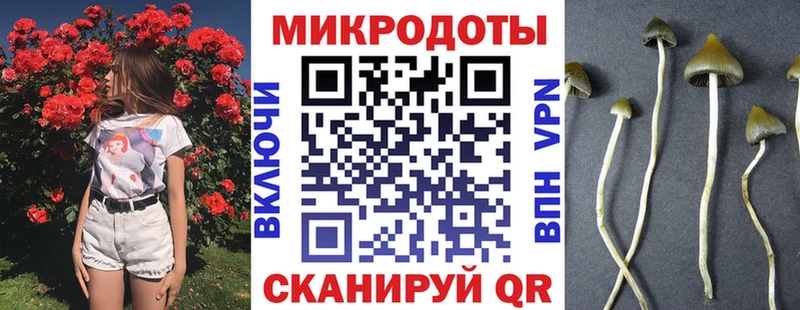 закладки  Чердынь  Галлюциногенные грибы Cubensis 